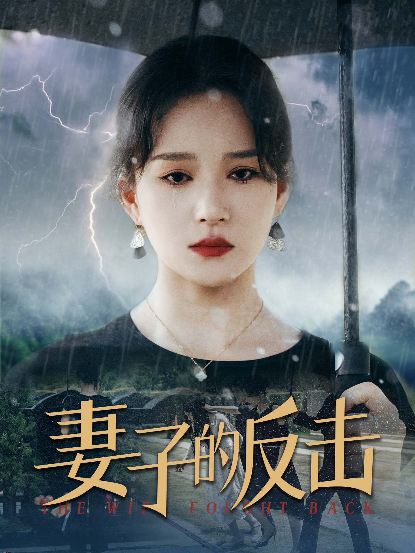 妻子的反击2024 海报