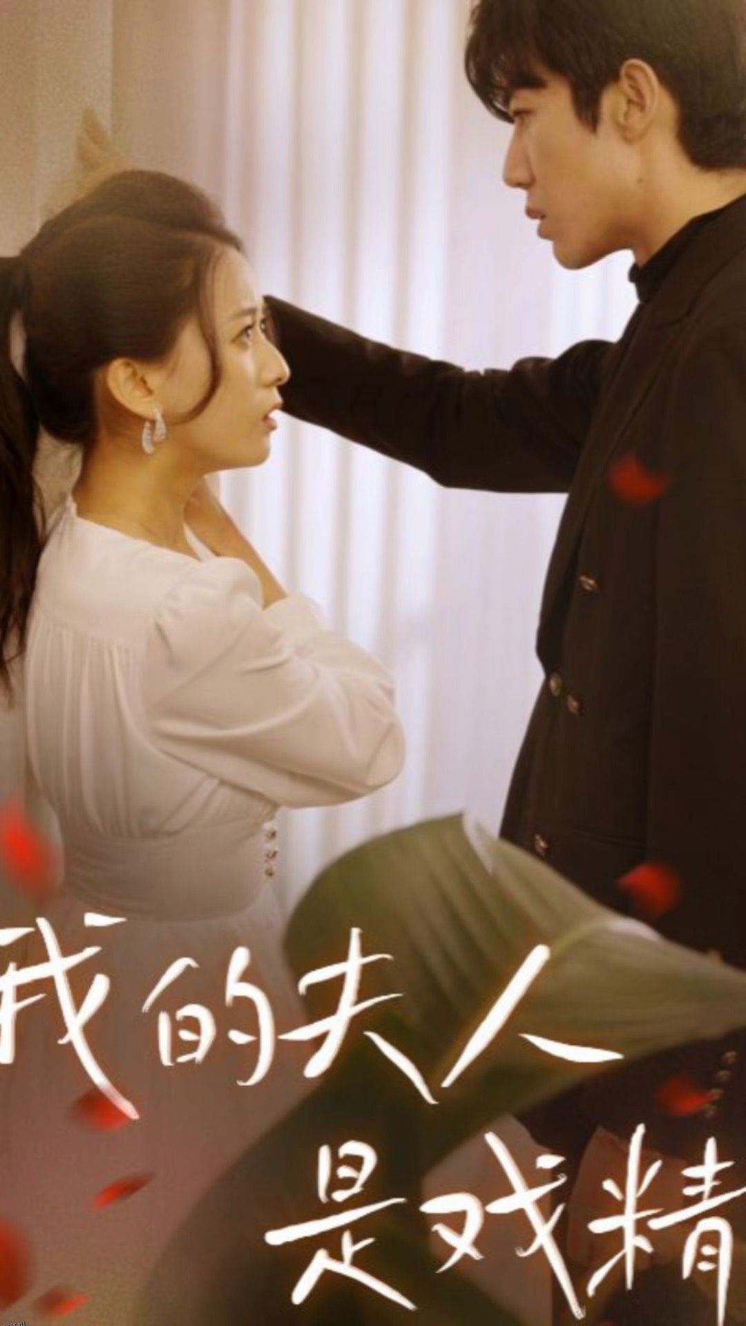 我的夫人是戏精 海报