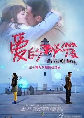 爱的秘笈 海报