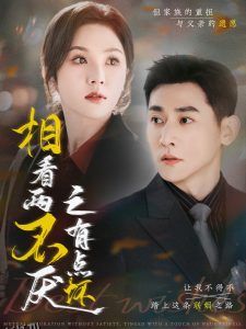 相看两不厌之有点坏 海报