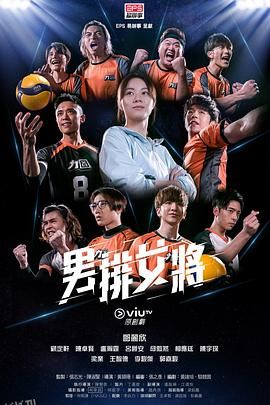 男排女将粤语 海报