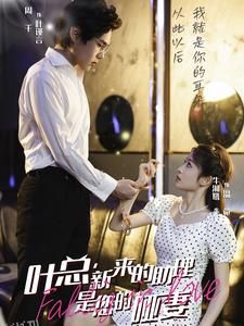 叶总新来的助理是您的哑妻 海报