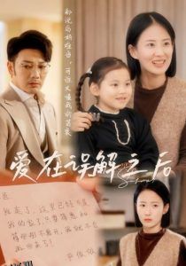 爱在误解之后 海报