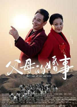 父母的婚事 海报