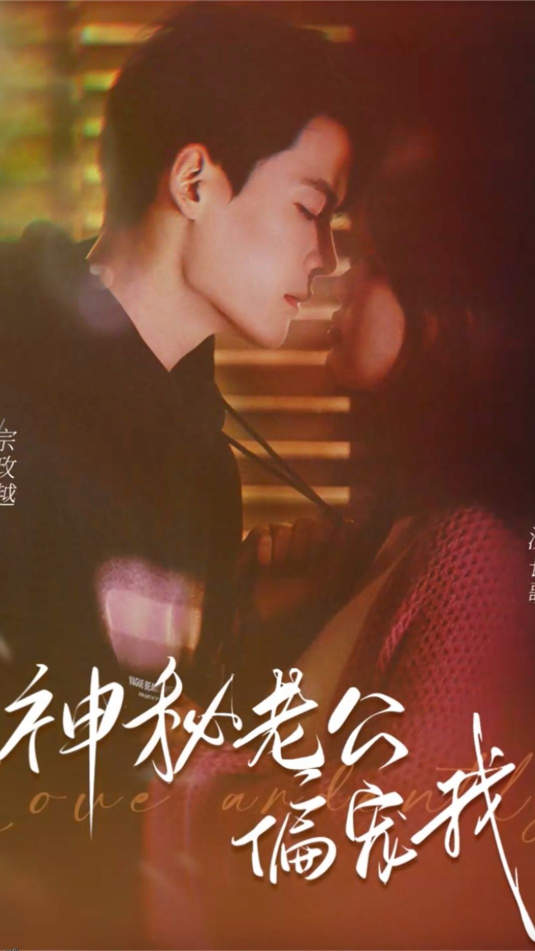 娇宠  神秘老公娇宠我 海报