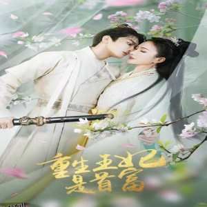 重生王妃是首富 海报