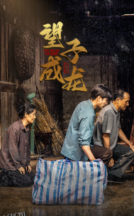 新版：望子成龙 海报