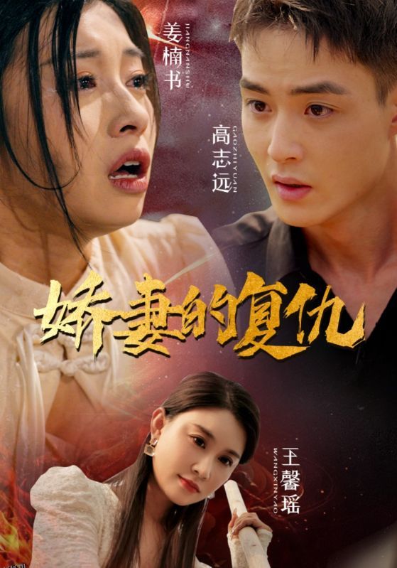 娇妻的复仇 海报
