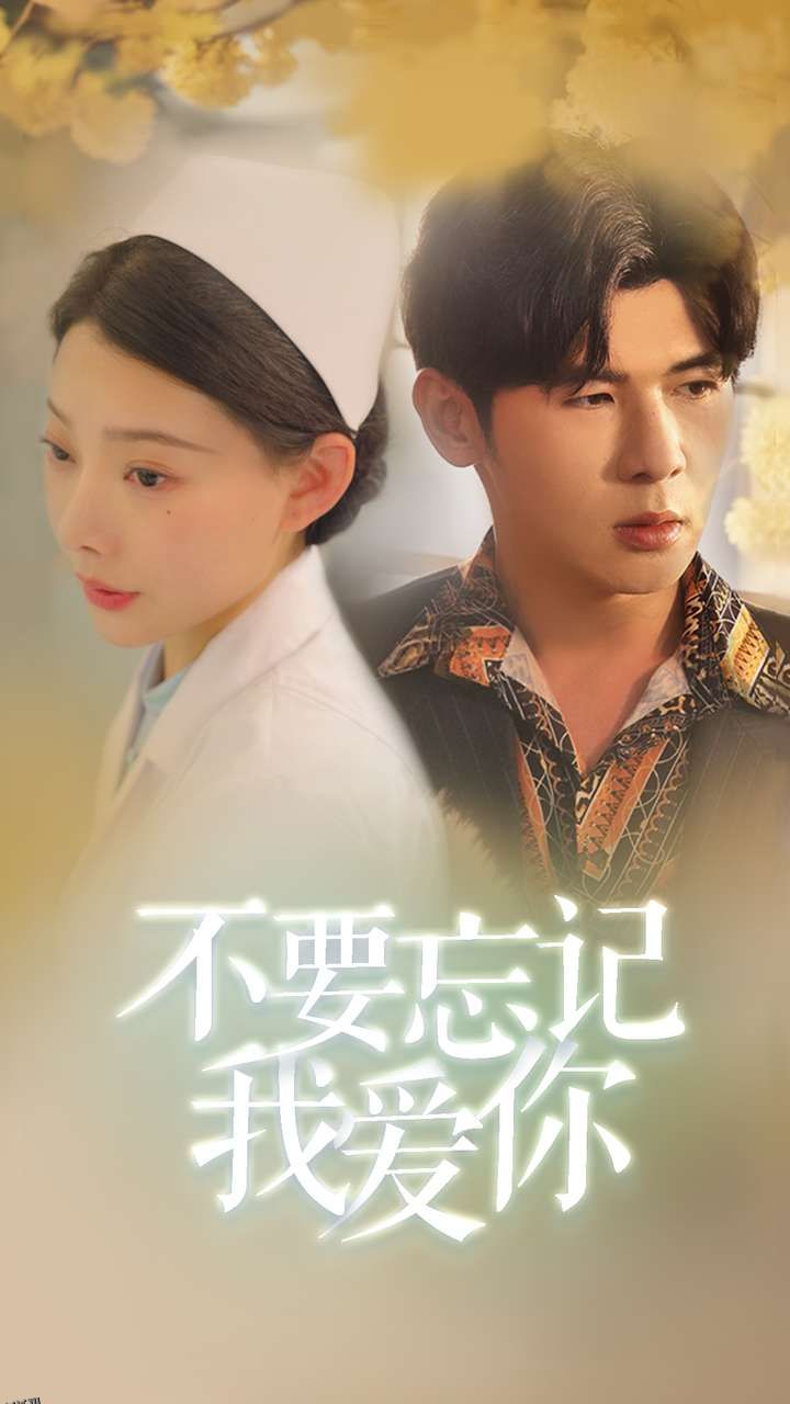 不要忘记我爱你 海报