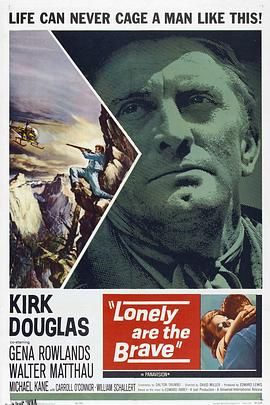 自古英雄多寂寞 海报