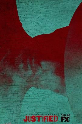 火线警探第六季 海报