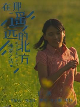 在那遥远的北方 海报