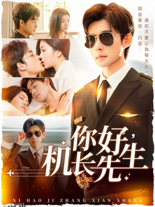 你好机长先生 海报