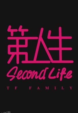 第二人生粤语 海报