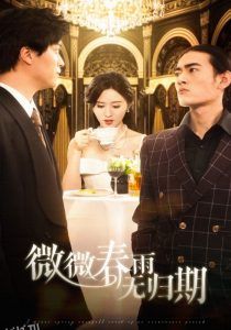 微微春雨无归期 海报