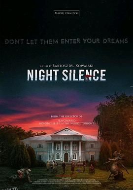 寂静之夜 高清海报