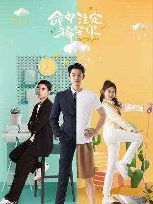 命中注定稀罕你 海报