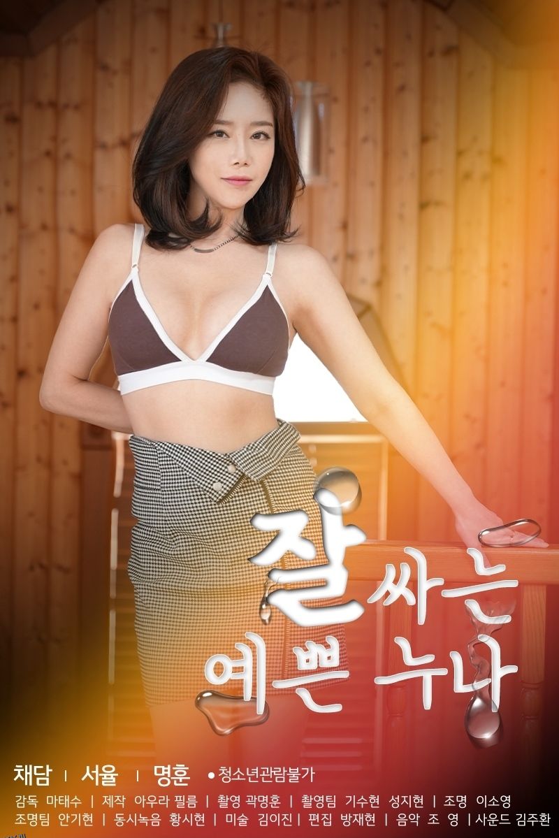 漂亮的姐姐 海报