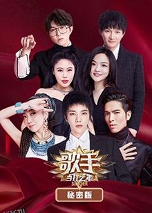歌手 当打之年 秘密版 海报