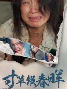 寸草报春晖 高清海报