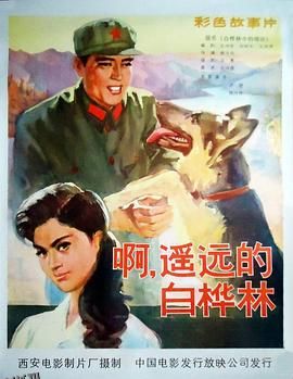 白桦林中的哨所 高清海报