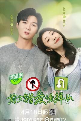 前方错爱请掉头 海报