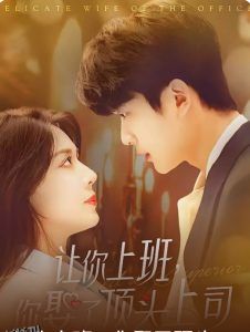 让你上班你娶了顶头上司 海报