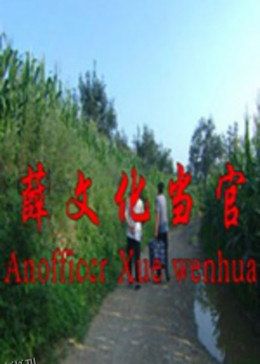 薛文化当官记 海报