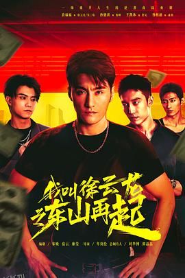 我叫徐云龙之东山再起 高清海报