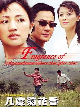 几度菊花香 海报