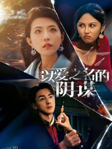 以爱之名的阴谋 海报