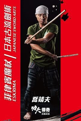 功夫傳奇IV再闖武林 海报