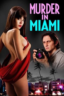 迈阿密暗杀档案 海报