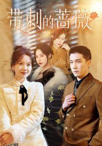 带刺的蔷薇 高清海报