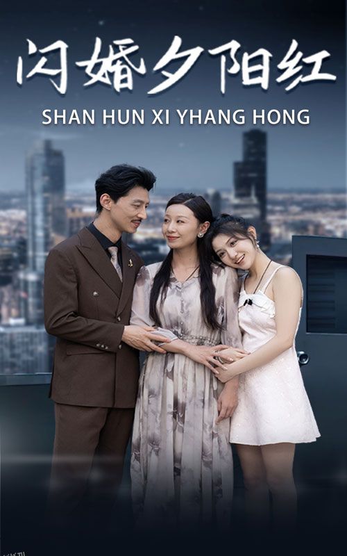 闪婚夕阳红 海报