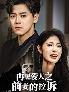 再见爱人之前妻的控诉 海报