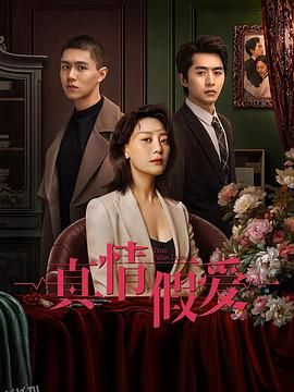 真情假爱2023 高清海报