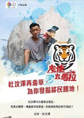 走佬去马拉 海报