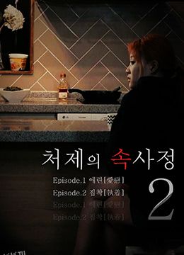 嫂嫂情事2 海报