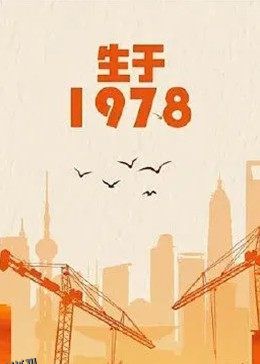 生于1978 海报