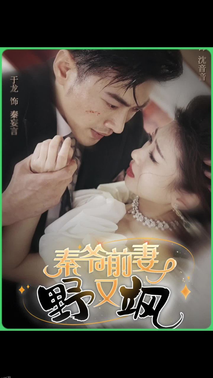 秦爷前妻野又飒 海报