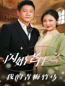 闪婚老伴之我的青梅竹马 高清海报