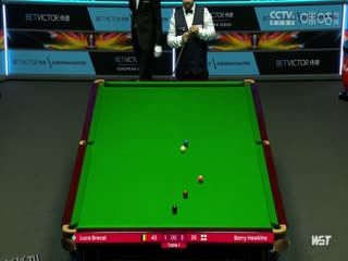 斯诺克 巴里·霍金斯5-4卢卡·布雷塞尔 20230825（李照） 海报