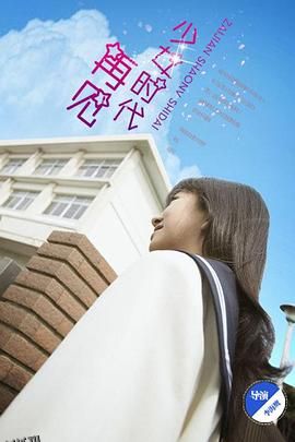 再见少女时代 海报