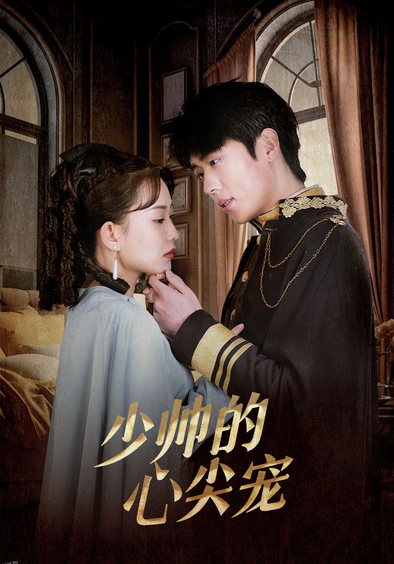 少帅的心尖宠 海报