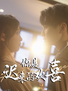 你是迟来的欢喜78集 高清海报