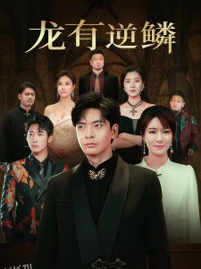 龙有逆鳞 海报