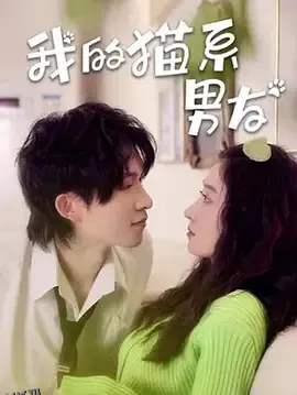 我的猫系男友 海报