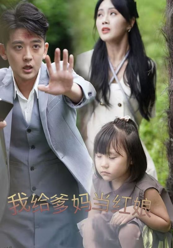 我给爹妈当红娘 海报