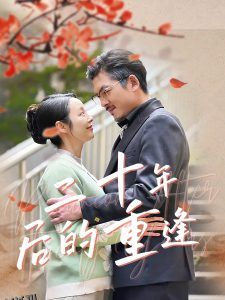 二十年后的重逢 海报